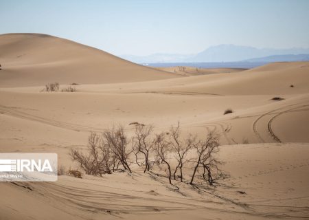 تغییر اقلیم؛ زنگ خطر امنیت غذایی ایران را به صدا درآورد
