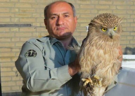 جزییات بیشتر از کشته شدن محیط بان منطقه حفاظت شده “خائیز”