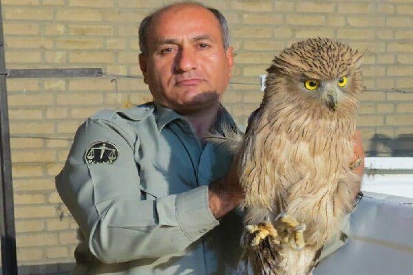 جزییات بیشتر از کشته شدن محیط بان منطقه حفاظت شده “خائیز”