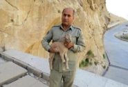 یک عمر فداکاری؛ از عشق به حیات‌وحش تا شهادت