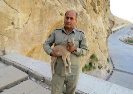 یک عمر فداکاری؛ از عشق به حیات‌وحش تا شهادت