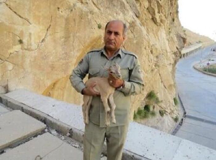 یک عمر فداکاری؛ از عشق به حیات‌وحش تا شهادت
