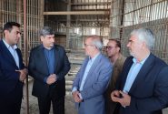 فیلم /تکمیل مجتمع فرهنگی هنری یاسوج در اولویت دولت است