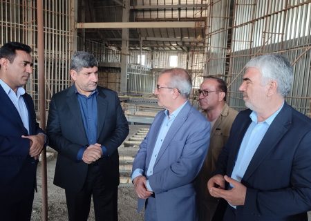 فیلم /تکمیل مجتمع فرهنگی هنری یاسوج در اولویت دولت است