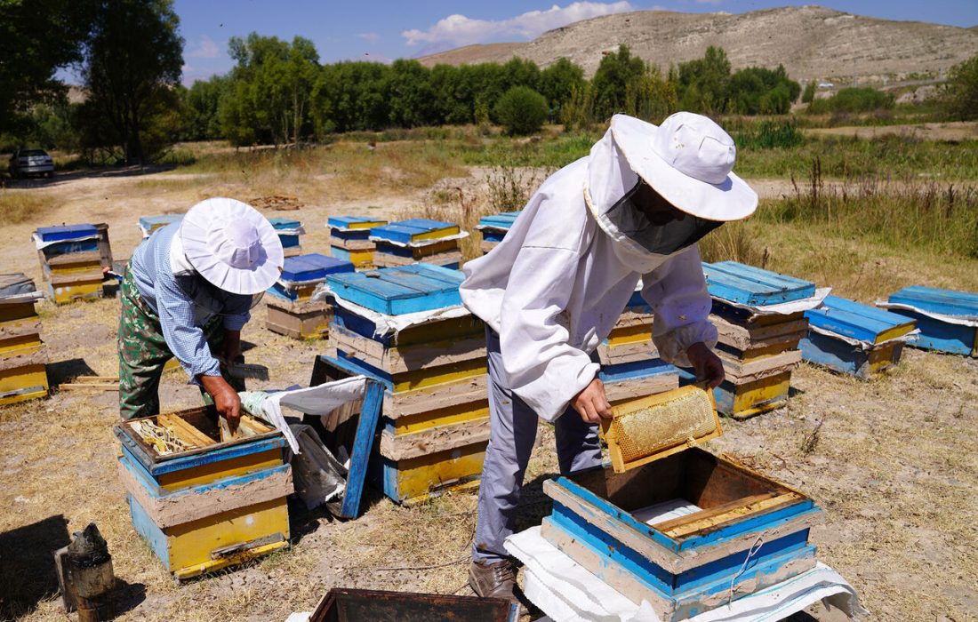 ۱۸۸ طرح منظومه روستایی با اعتبار ۱۸۰ میلیارد ریال در گچساران اجرا شد