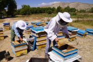 ۱۸۸ طرح منظومه روستایی با اعتبار ۱۸۰ میلیارد ریال در گچساران اجرا شد