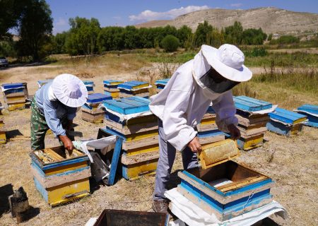 ۱۸۸ طرح منظومه روستایی با اعتبار ۱۸۰ میلیارد ریال در گچساران اجرا شد