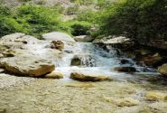 روستای «مارین» گچساران ؛ خنکایی در دل گرمسیر