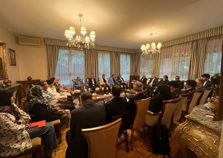 میدری: بهره‌مندی از توانمندی‌های ایرانیان خارج از کشور پیگیری می شود